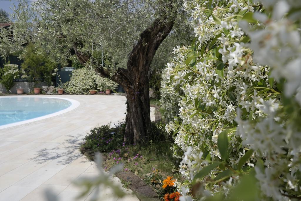 Campeggio Delle Rose Moniga del Garda Экстерьер фото
